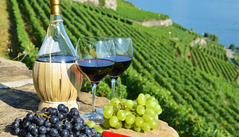 Изысканные вина Тосканы